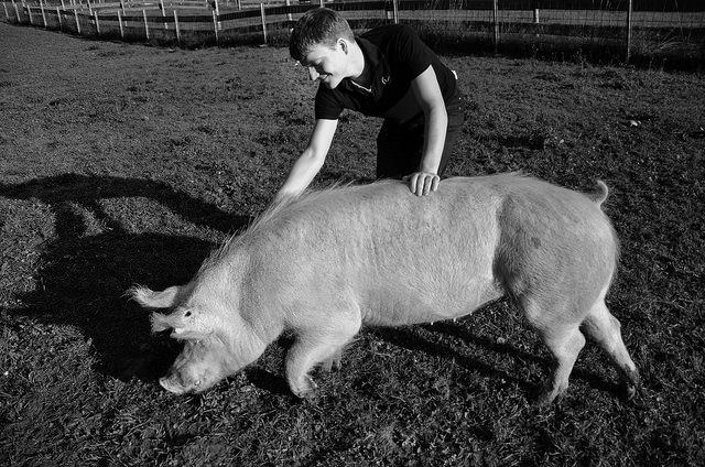 Dennis Vahlenkamp mit Schwein Totoro, Foto: Erdlingshof